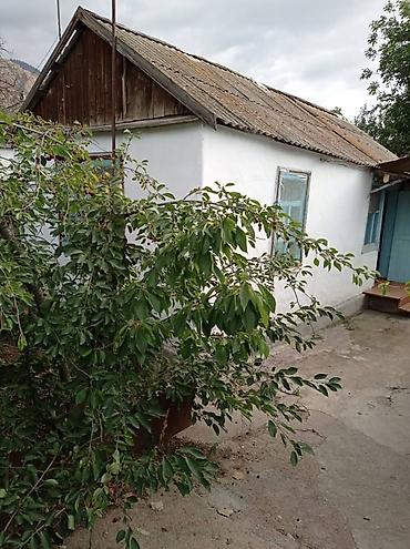 Продажа домов: Продается дом на Иссык-куле (либо вариант обмена на кв. в Бишкеке) — 4