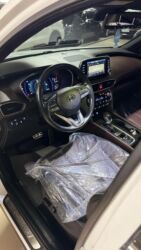 Hyundai: Hyundai Santa Fe: 2019 г., 2 л, Автомат, Дизель, Кроссовер — 16