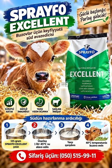 yemler: SPRAYFO Exellent – Buzovlar üçün quru süd / süd / süd qurusu / buzov — 1