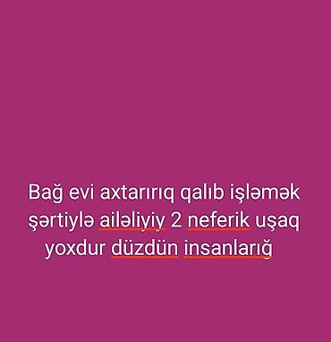 is axtariram bag evinde: Bağ evi axtarılır – qalmaq şərti ilə işləmək üçün. Ailəliyik, 2 — 1