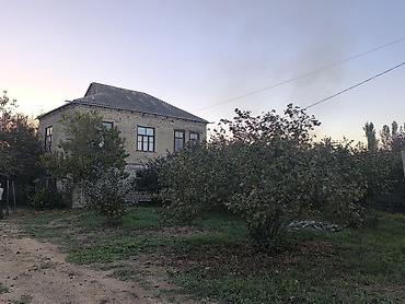 lacin kirayə ev: Satılır: kənd həyəti olan kərpic ev və fındıq bağı - İki mərtəbəli — 4