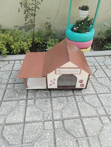 paroda pisik: Taxtadan hazırlanmış və yem qabları üçün artırmalı sahəsi olan pişik — 4