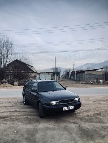 Volkswagen: Volkswagen Golf: 1995 г., 2 л, Механика, Бензин, Универсал