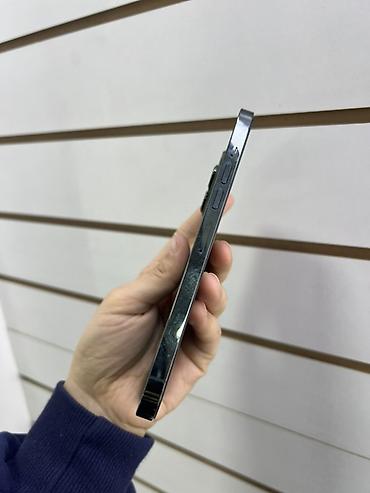 ihone xr: IPhone 13 Pro Max, 256 ГБ, цвет Alpine Green (зеленый) — 6