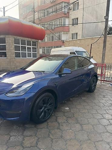 Tesla: Tesla Model Y: 2024 г., Электромобиль, Кроссовер — 2