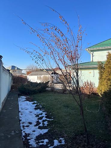 Продажа участков: 8 соток, Для строительства, Красная книга, Тех паспорт, Договор купли-продажи — 15