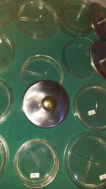 Ostali medicinski proizvodi: Stomatološke posude II Petri šolje Podeljene petri šolje Inox opal — 15