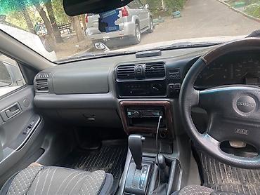 арычник на мотоблок: Isuzu Wizard: 1998 г., Автомат, Внедорожник — 5