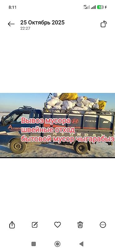 грызунов: Вывоз мусора вывоз мусора вывоз мусора вывоз вывоз вывоз мусора вывоз — 1