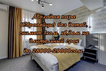 обмен на квартиры: Молодая пара, европейцы, без детей, снимет дом, полдома, 1 ком.кв в — 1