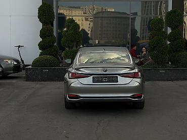 полики багажника 4runner: Lexus ES: 2023 г., 2.5 л, Автомат, Гибрид, Седан — 4