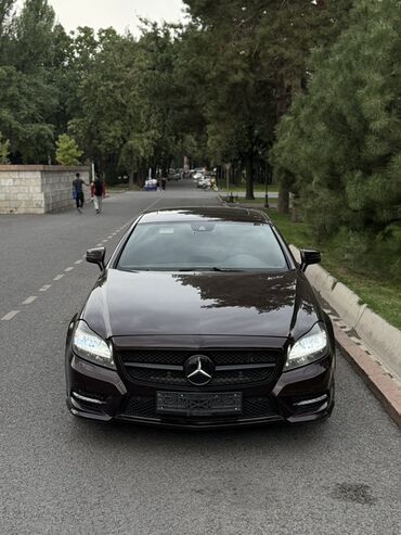 чехол для автомобиля мерседес: Mercedes-Benz CLS-Class: 2012 г., 4.7 л, Автоматтык, Бензин, Седан
