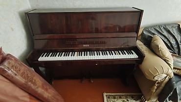 İdman və hobbi: Şverin (Schwerin) upright pianino - Korpus: tünd qəhvəyi, yüksək — 4