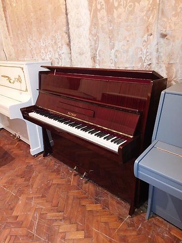 Musiqi alətləri: Pianino PETROF Cexiya stehsalı. İdeal vəziyyədə. Yenidən fərqlənmir — 2