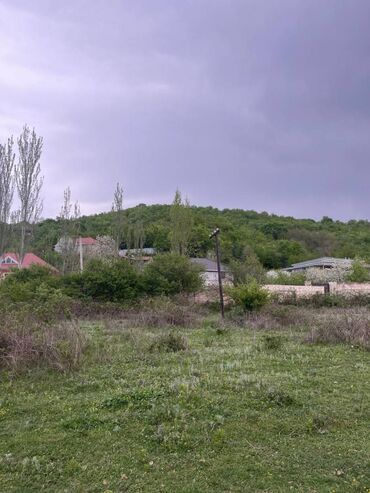 əcəmi ev: 50 sot, Barter mümkündür, Kupça (Çıxarış)