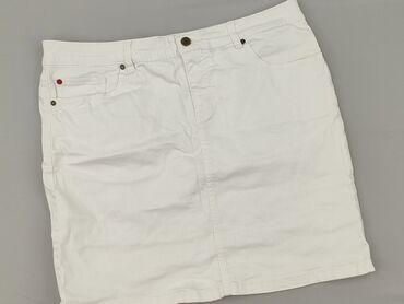 rozkloszowane spódnice z wysokim stanem: Hampton Republic, Women`s skirt, size 3XL (EU 46)