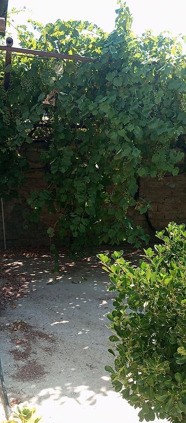 Kommersiya daşınmaz əmlakının satışı: Merdekanda bravo ve 181 mektebe yaxın elit mehellede 4 sot torpaq — 2