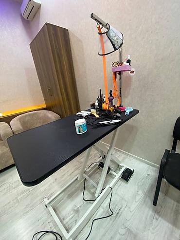 Elektrikli qroominq stolu - İt və pişiklərin baxımı üçün peşəkar