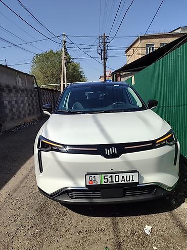 Weltmeister: Weltmeister W6, 2021 г., В наличии — 20