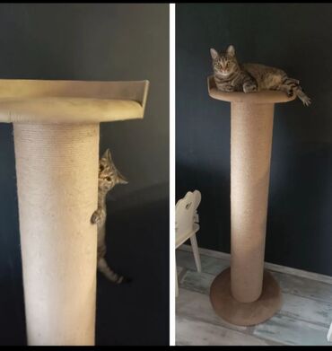 Oprema za kućne ljubimce: Grebalice penjalice visina od 50 cm do 200 cm — 10