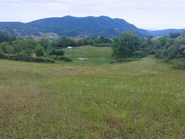 binə qəsəbəsində torpaq: 67 sot, Kənd təsərrüfatı, Kupça (Çıxarış)