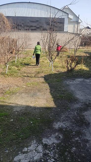 гипермаркет: Продам теплый, уютный дом 140 м² (17м х 9м), на участке 6.5 сотки — 4