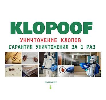 Дезинфекция, дезинсекция: Дезинфекция, дезинсекция, | Клопы, | Дома, Квартиры, Офисы — 1