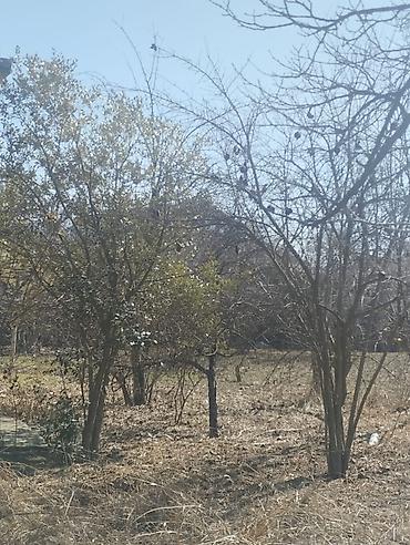 Həyət evləri və villaların satışı: 29sot - Tikinti: qalın çay daşı divarlar, möhkəm bünövrə - Plan — 10