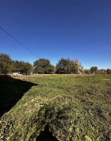 Продажа участков: 217 соток, Для сельского хозяйства, Красная книга — 2