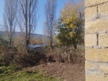 Torpaq sahələrinin satışı: Kənd təsərrüfatı — 11