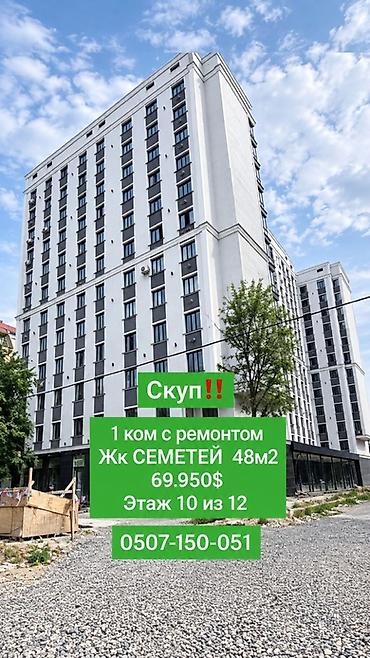 1 комната, 48 м², Пишпек Элитка, 10 этаж, Свежий ремонт