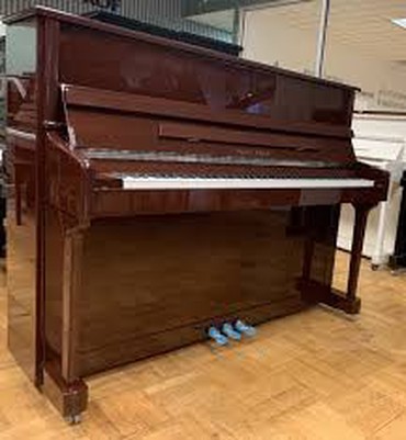 продажа хомяков: Piano, Yeni, Pulsuz çatdırılma