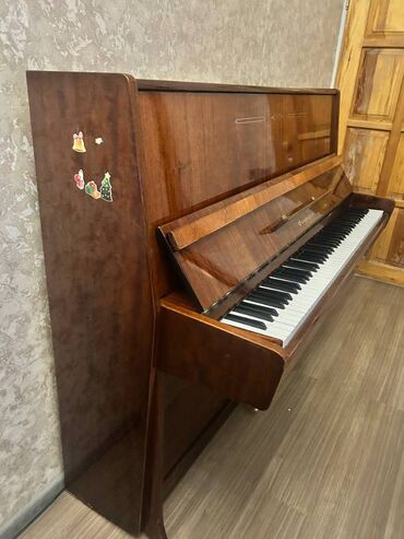 Akkordeonlar: Piano, Akustik