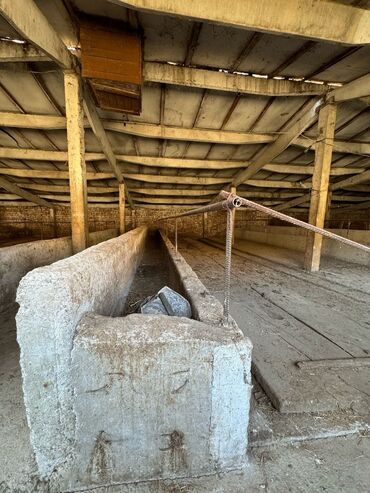 Продажа участков: 130 соток, Для бизнеса, Красная книга, Тех паспорт, Договор купли-продажи — 14