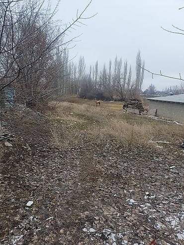 Продажа коттеджей и домов: Үй Сатылат трссанын жээгинде Петровкада.Участок 22.5 соток — 12