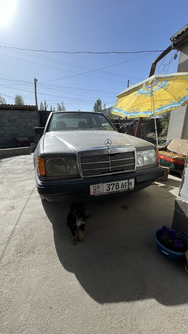 Mercedes-Benz: Mercedes-Benz W124: 1988 г., 2 л, Механика, Бензин, Седан
