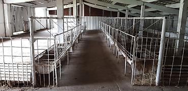 Продажа сельхозпредприятий: Farm КРС, 75 соток, Канализация, Скважина — 12