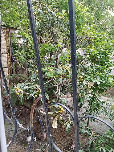 Mənzillərin satışı: Bakı, 1 otaqlı, Köhnə tikili, 32 kv. m — 9