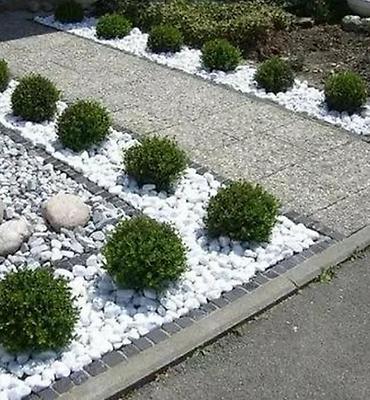 Галька: Декор для сада для ландшафта и дизайна сада. Натуральный камни любая — 11