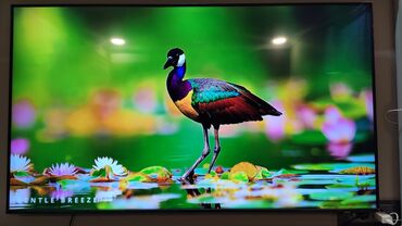 Televizorlar: Samsung tv Kod : ue55au8000uxru Xüsusiyyətlər İstehsalçı : Samsung