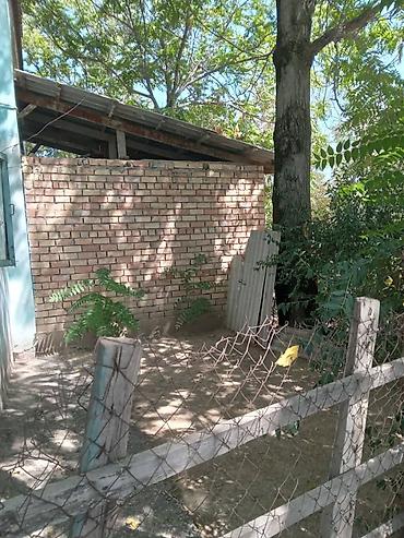 дачная: 2 комнаты, 50 м², Хрущевка, 1 этаж, Старый ремонт — 4