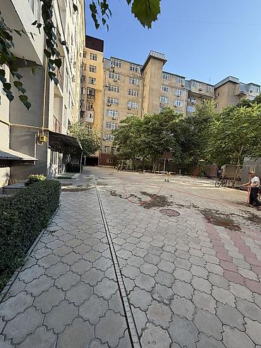 flat kant: 4 комнаты, 173 м², Золотой квадрат Элитка, 13 этаж, ПСО (под самоотделку) — 3
