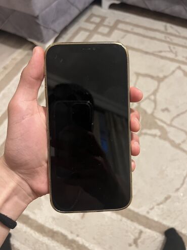 Apple iPhone: IPhone 12 Pro Max, 128 GB, Graphite, Face ID