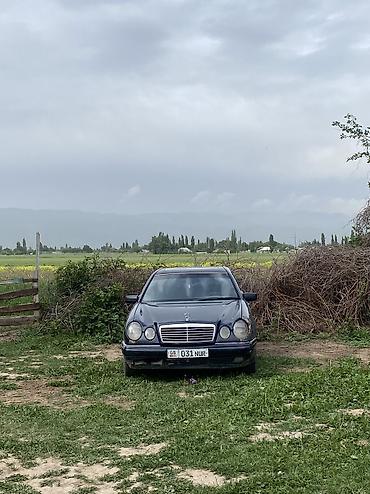 vw sharan: Mercedes-Benz E-Class: 1996 г., 2.9 л, Механика — 5