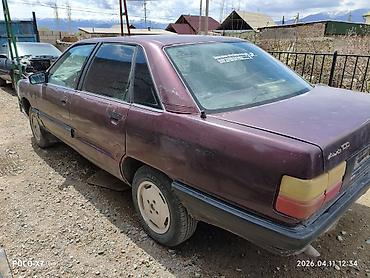 крыло на 124: Audi 100 C3 (седан), переходка. Разбор — 4