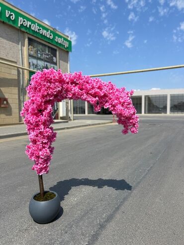 Süni güllər: Dekorativ süni ağaclar dəsti - Model 1: Varlıqlı yarpaqlı dekorativ — 28