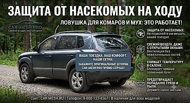 тонировк: Каркасная тонировка, Новый, Самовывоз — 4