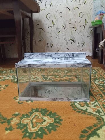 Moskviç: Dördbucaq akvarium, Boş, 22 l, Ünvandan götürmə