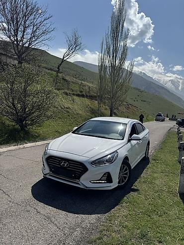 sonata: Hyundai Sonata: 2019 г., 2 л, Автомат, Газ, Седан — 2