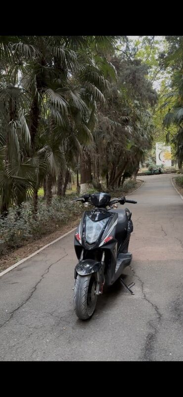 Mopedlər,skuterlər: Tufan - skuter, 150 sm3, 2015 il — 11